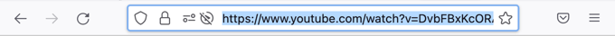 获取您选择的 YouTube 视频的 URL