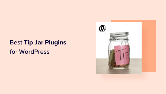 Best Tip Jar Plugins for WordPress