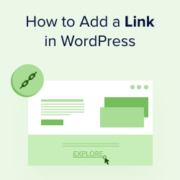 Beginner's Guide on How to Add a Link in WordPress