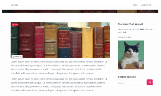 Standard Widget on Your Site - WPBeginner Standard widget on your site