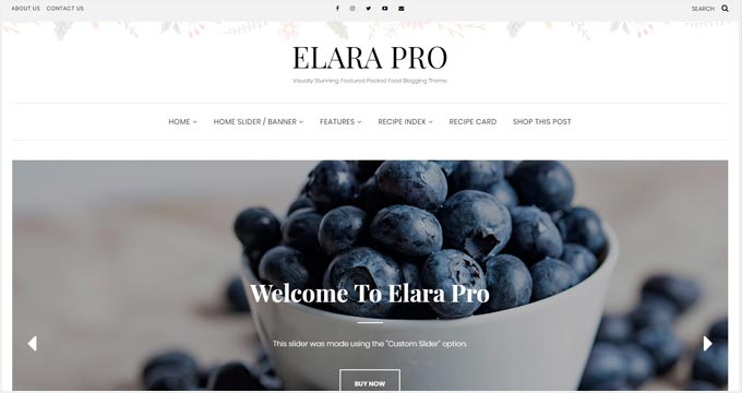 Elara Pro