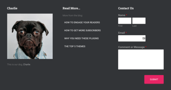 Footer Widgets - WPBeginner Footer widgets