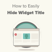 How to Easily Hide Widget Title in WordPress