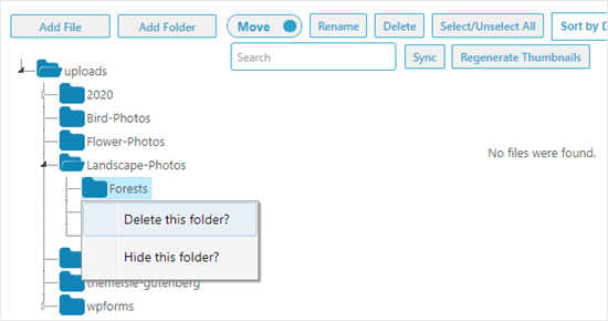 Deleting a folder using the Media Library Folders plugin