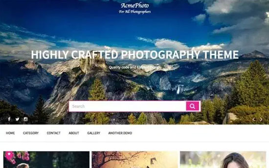 44 Best Free WordPress Photography Themes (2022)