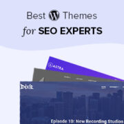 Best WordPress Themes for SEO Experts