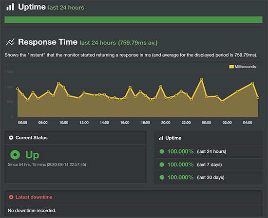 Honest Look at Speed & Uptime