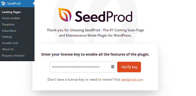 输入 SeedProd 许可证密钥