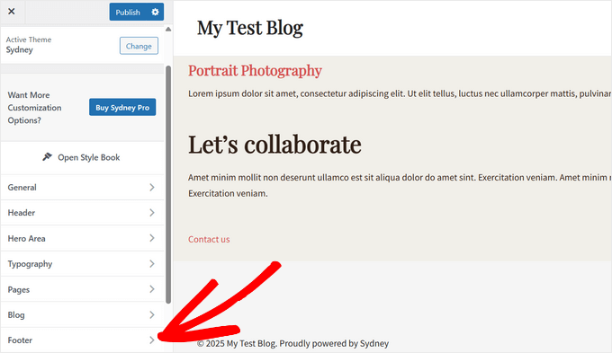 WordPress theme customizer footer builder