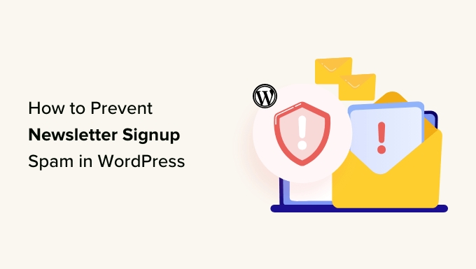 How to pevent newsletter signup spam in WordPress