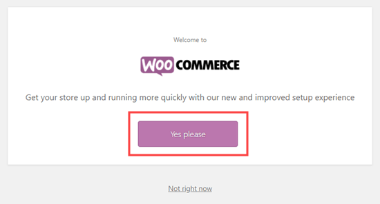 单击按钮启动 WooCommerce 设置向导