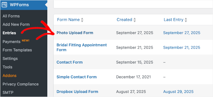 Checking WPForms entries