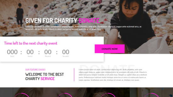 Divi's Charity Funding layout