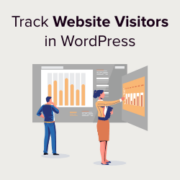How to track website visitors to your WordPress