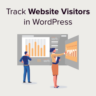 How to track website visitors to your WordPress