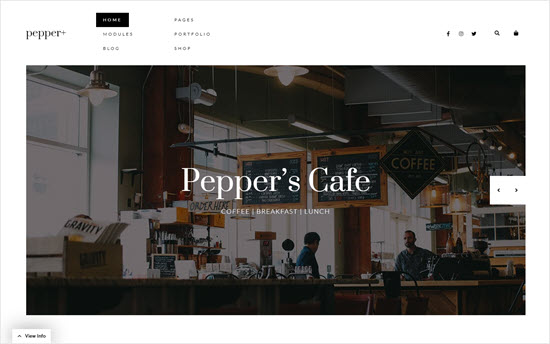 Pepper+
