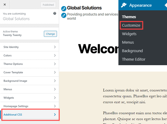 Theme Customizer Additional Css