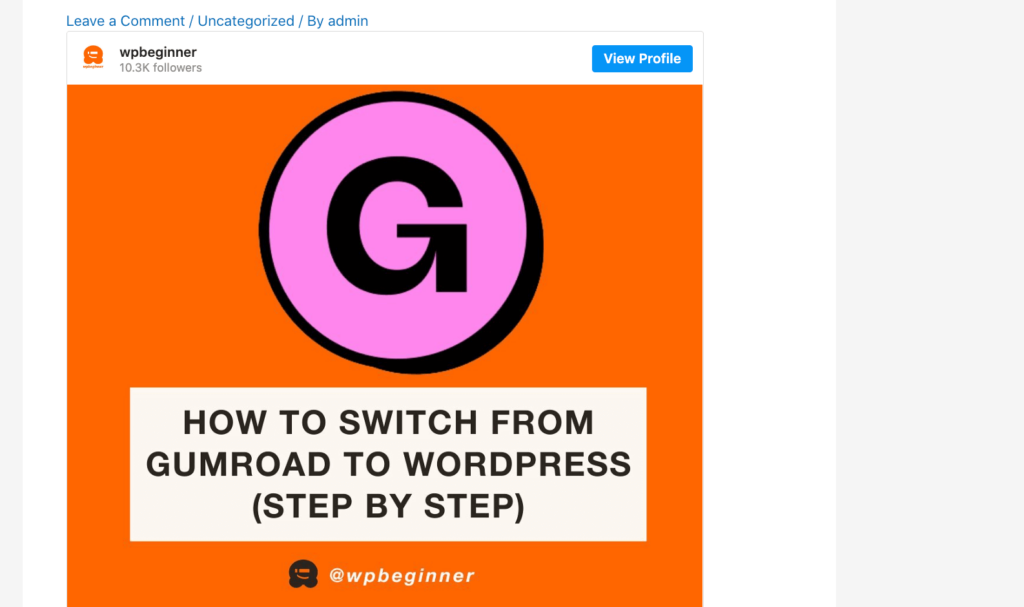An example of an Instagram post in WordPress