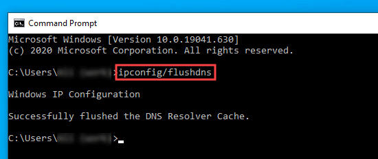 Typing the command into the Command Prompt window to flush the DNS cache