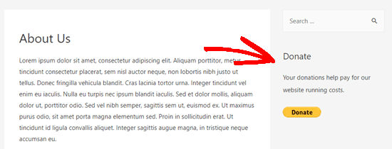 The Donate widget live in the sidebar on our demo website The Donate widget live in the sidebar on our demo website