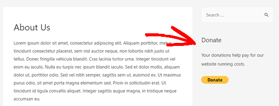 The Donate widget live in the sidebar on our demo website