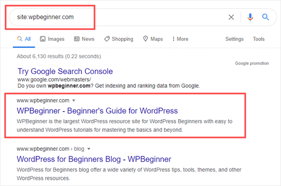 Google results showing that the WPBeginner site has been indexed