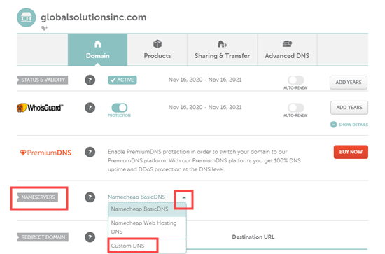 Selecting the Custom DNS option