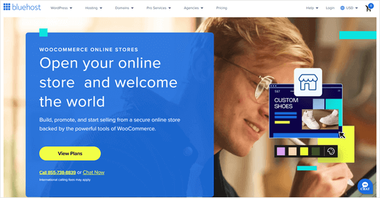 Starting your online store with Bluehost
