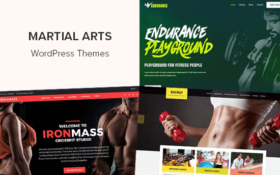 Best Martial Arts WordPress Themes