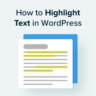 How to add text highlight color in WordPress