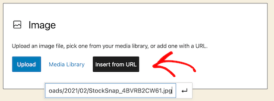 Aggiungi URL immagine non in scala