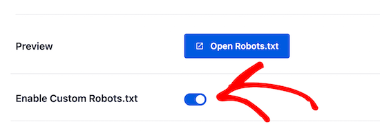 Aioseo Enable Custom Robotstxt