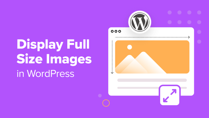 How to Display Full Size Images in WordPress