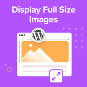 How to Display Full Size Images in WordPress