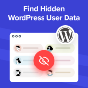 Tips to Find Hidden WordPress User Data to Grow Your Business