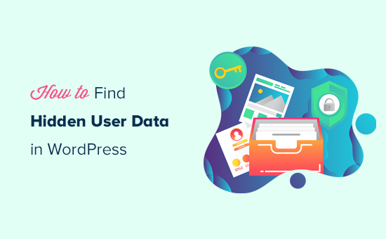 9 Tips to Find Hidden WordPress User Data to Grow Your Business