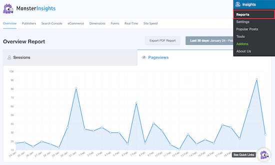 Monsterinsights Understand Site Traffic