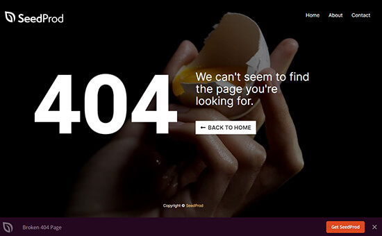 Broken egg error page