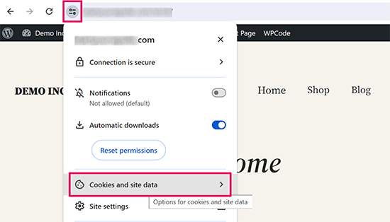 Site cookies and data in Google Chrome