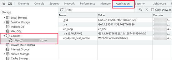 Cookies in developer tools