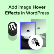 How to add image hover effects in WordPress (step by step)