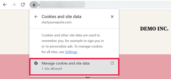 Manage cookies and site data