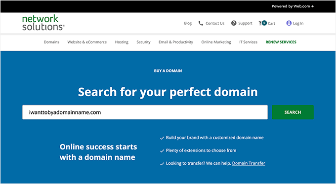 Network Solutions Domain Search