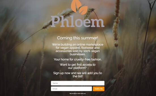 Phloem