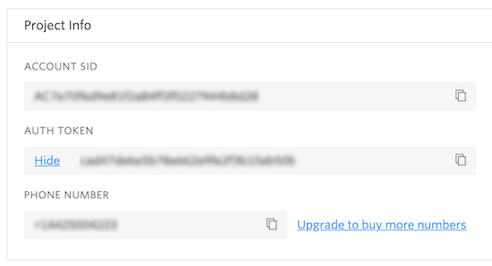 Twilio Project Info