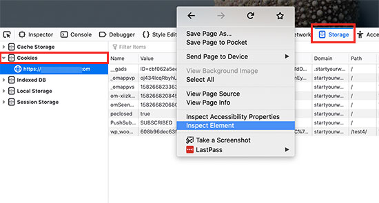 Visualizzazione dei cookie impostati da WordPress utilizzando Firefox