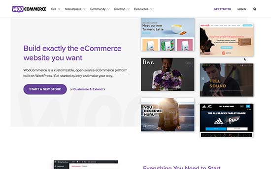 Woocommercewebsite