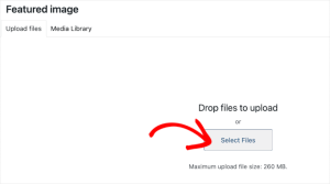 How to Add Featured Images or Post Thumbnails in WordPress