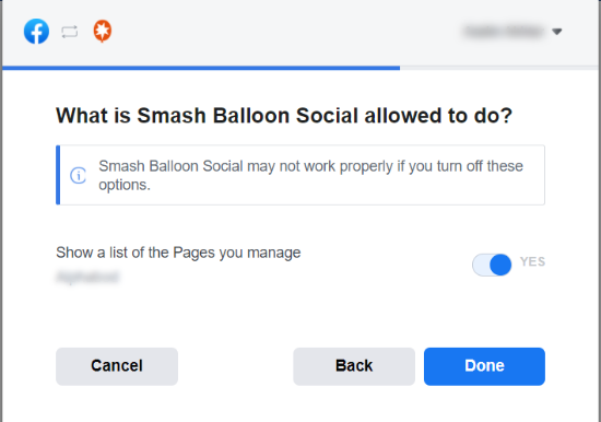 Consenti a Smash Balloon di utilizzare la pagina