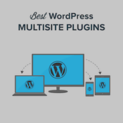 Best WordPress Multisite Plugins You Should Use (Super Useful)